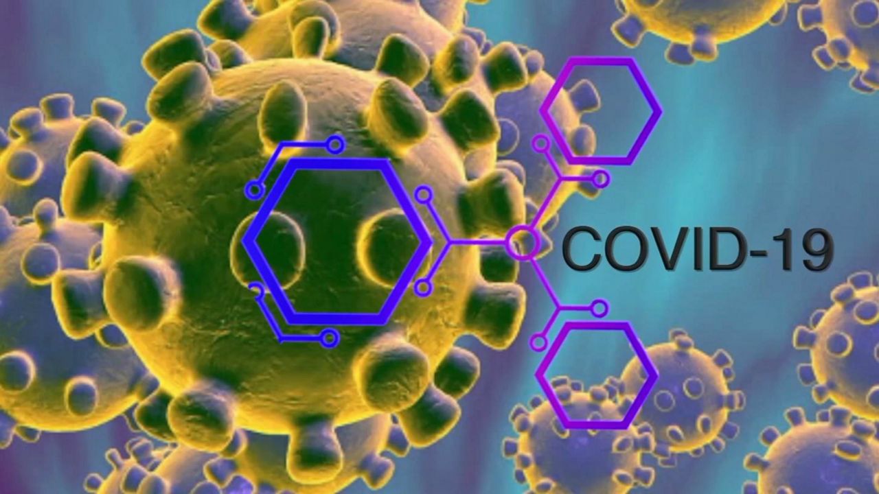 0304 n13 covid 19 coronavirus graphic generic file